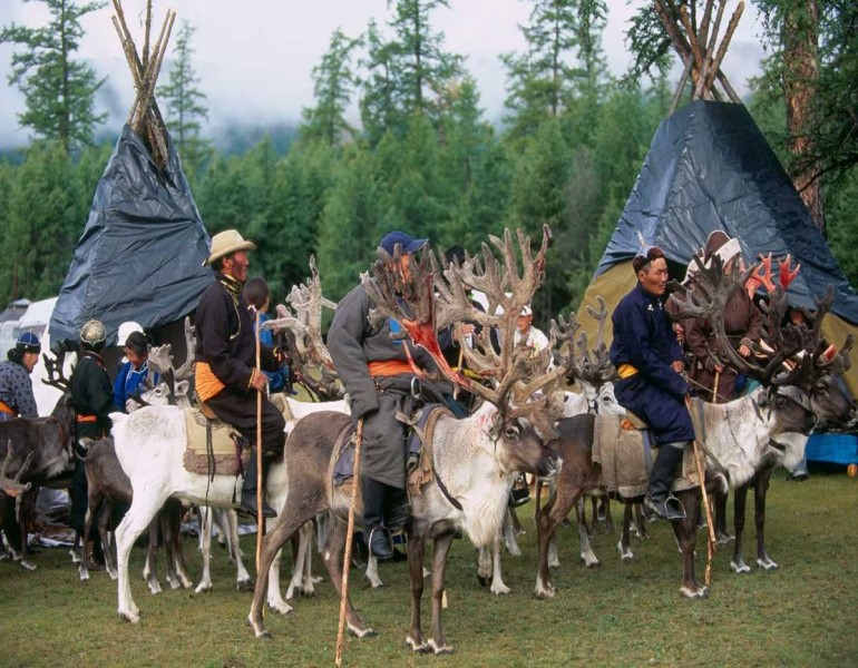 Naadam Festival